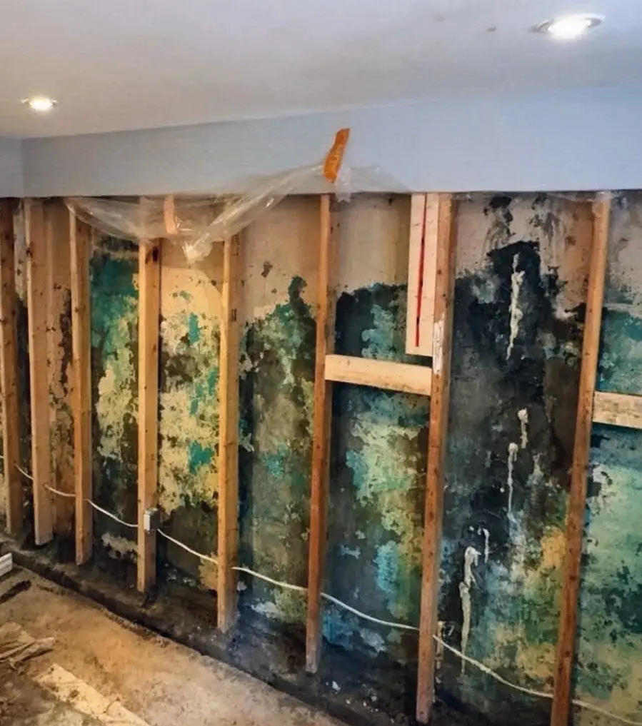 Mold Restoration & Interior Drainage photo