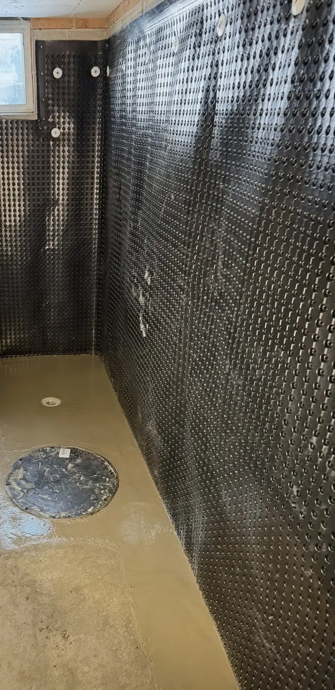Mold Restoration & Interior Drainage